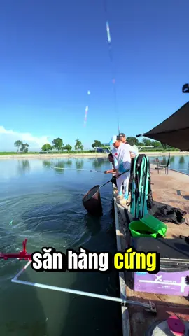 Lưỡi săn hàng S1 Cứng ,Mảnh ,Nhẹ Và Siêu Bám Chuyên Trị Trắm Đen Lật Vợt #trandaihanh #cauca #luoicauca #luoisanhang #fishing 