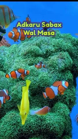 #Azkar #sabah wal #masa #somalitiktok  