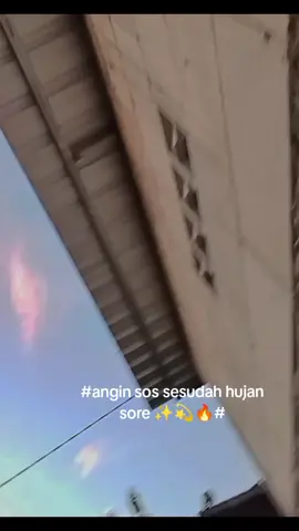 hujan 2hari sesudahangin soss🔥 #bojonegorohits #layang #sos #anginkencang 