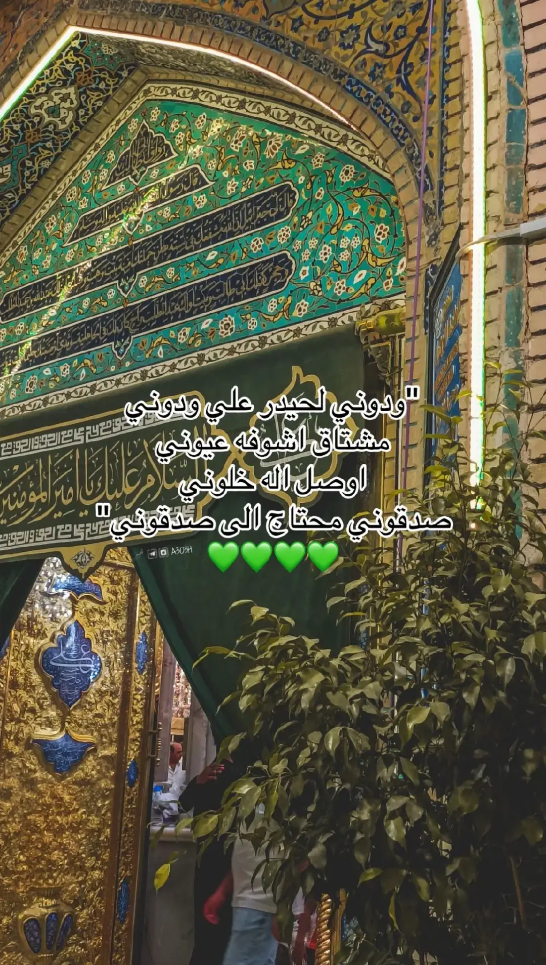 #ودوني_لحيدر_علي_ودوني💚 #الله_يرزقنا_زياره 