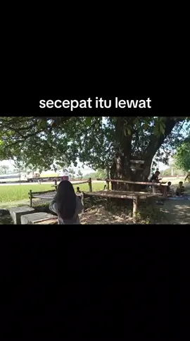 cepat sekali #pengikut #fyp #keretaapi #ptkai #ngawi24jam