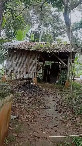 mapay jln satapak ngajugjug kahiji lembur