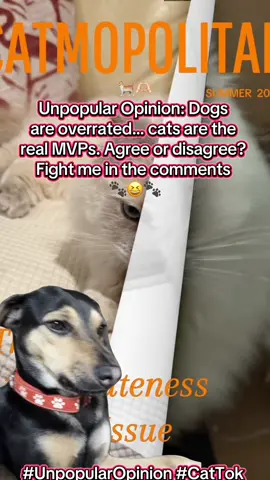 #Meme #MemeCut 🐈🫶🏻Unpopular Opinion: Dogs are overrated… cats are the real MVPs. Agree or disagree? Fight me in the comments 😆🐾 #U#UnpopularOpinionC#CatTokD#DogTok