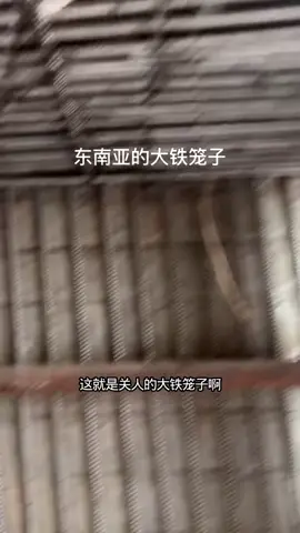 #缅甸 #电诈园区 #东南亚 一个视频证明东南亚到底多可怕，东南亚没有高薪