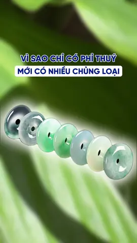 Bạn đã nghe qua các chủng của phỉ thuý bao giờ chưa?? #vongngocthiennhien #trangsucngoc #kingjades #xuhuong #vongphithuy 