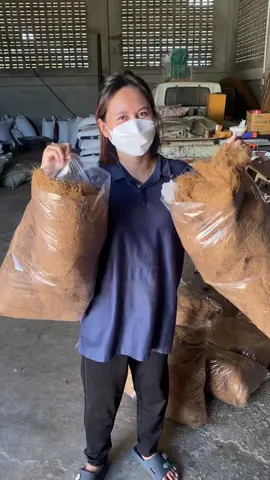 #ใยมะพร้าว #เปิดการมองเห็น #ฟีดดดシ 