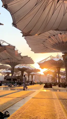 Tahun ini sendiri dulu gatau tahun depan