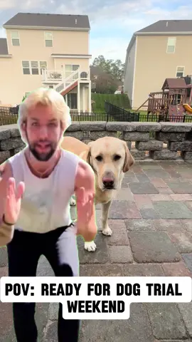 Some days its like that 🤣 #dogtrial #dogsoftiktok #sportdogsoftiktok #sportdogs 