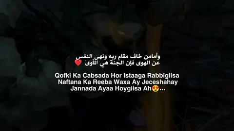 ||❤️😍||#motivator #quetos #ina_dhaqane❤️‍ #islamic_video #updalleh_❤️🤴 @MoHàMeTT🌴🥀🇬🇧 