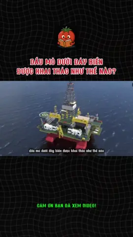 dầu mỏ dưới đáy biển được khai thác như thế nào? #xh #kienthucthuvi #fybシ #LearnOnTikTok #khampha 