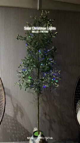 mas magmamahal na to pag malapit na ang pasko kaya checkout na! Thanks to our artificial olive tree as our new christmas tree 🎄✨ #solarchristmaslights #christmaslights #ledlights #christmasdecor #christmas 