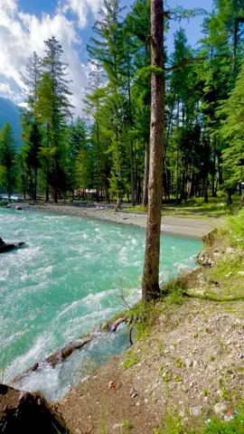 Panjkora River kumrat valley right now❤️😍