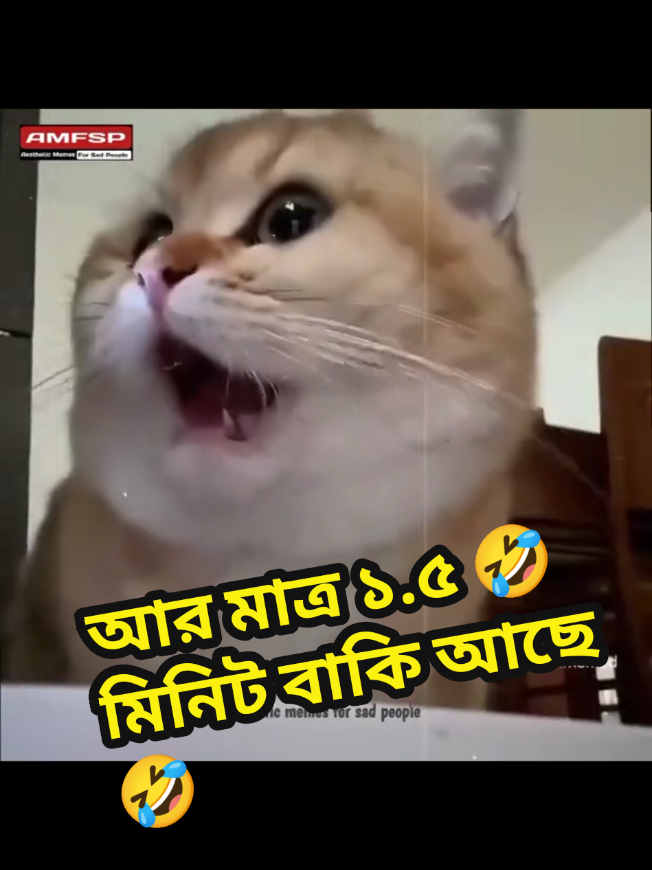 আর মাত্র ১.৫ মিনিট বাকি আছে🤣 #funny #islamic_video #halalmemes #Ramadan #mrme