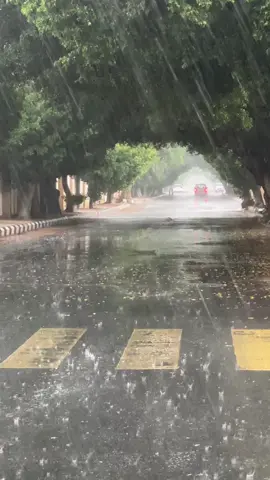 #الطائف 
