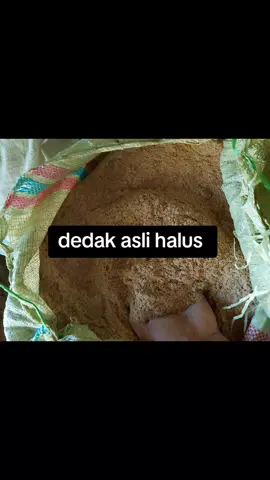 #duniaperintis  #pakanternakmurah  #silimapunggapungga  siapa yg sedang berjuang lanjut.