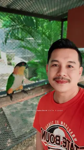 ชอบเพลง#ช่องจริงช่องนี้ #ระวังมิจฉาชีพด้วยนะทุกคน #ขี้เมาคุณภาพ🤣🤣😁 