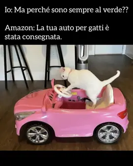 Pistaaaa!