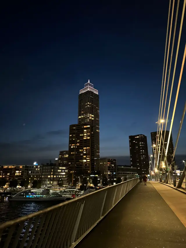 #rotterdam #furdich #rotterdamatnight #netherlands 