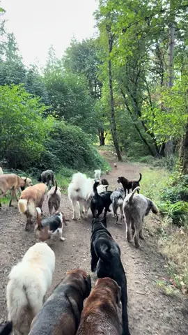 Days like these ❤️