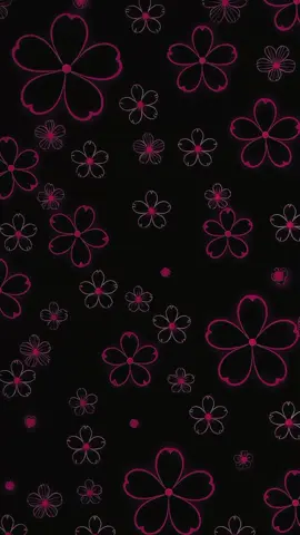 Happy Wife's Day ❤️