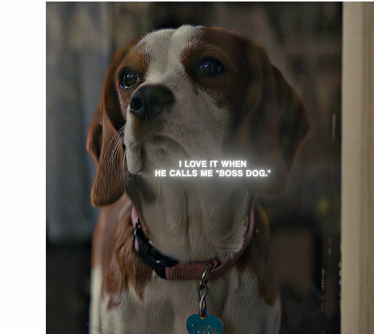 #film #fyppppppppppppppppppppppp #foryou #edits 