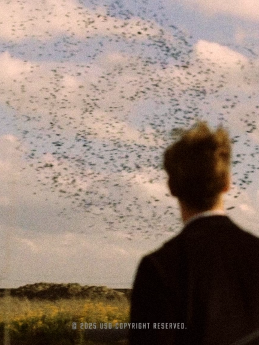 afterlife #aestheticedits #aestheticvideos #edit #fyp