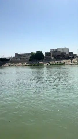 وصخ الدنيا شفنا بالناس مو بالفلوس 