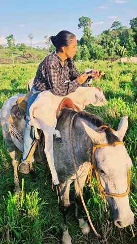 ###curando bezerro encima do cavalo 🐎 #harizona #vaqueira 