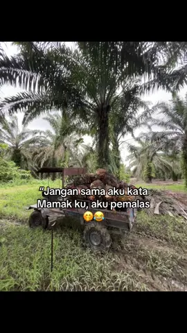 #fypfageefouyou  #sawitstory🌴🌴🌴  #fypfagee 
