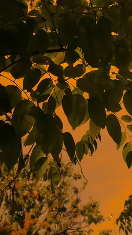 يقول الكثيرون أن حب الشخص الخطأ أمر مؤلم، ولكن المؤلم حقًا هو الأمل في أنه سيحبك أيضًا. Banyak yang mengatakan,cinta kepada orang yang salah itu menyiksa,tapi sebenarnya yang menyiksa itu adalah harapan agar dia juga mencintaimu. #sadsong💔 #sadvibes🥀 #masukberandamuu #arabic #instrumenarabic 