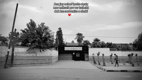 💭💔#liveforthechallenge #tiktokviral #شعب_الصيني_ماله_حل😂😂 