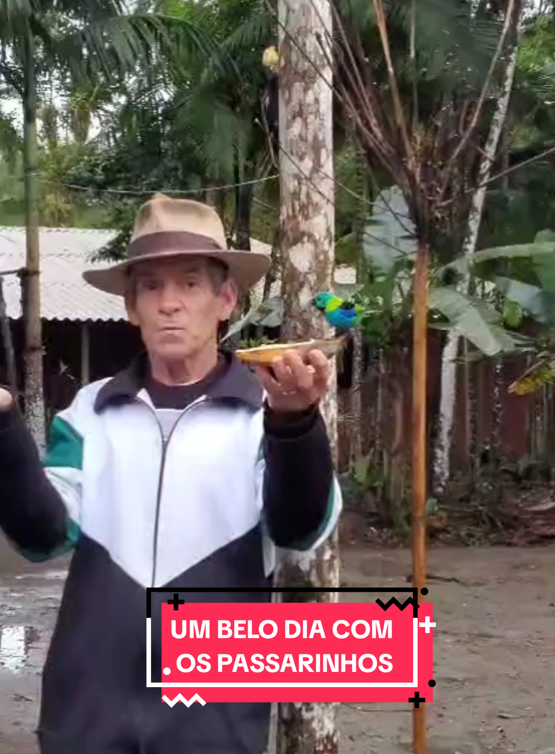 #banana #homemdochapeu #passarinhos #natureza #liberdade 