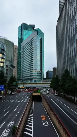 Life monion from Showadoriginzahodo Bridge #tokyo #timelapse #bridge #tokyovibe #motion 
