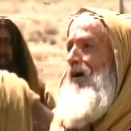 #الامام_علي_بن_أبي_طالب_؏💙🔥 #الامام_العباس_عليه_سلام #سيدة_زينب_عليه_السلام #fypシ #اكسبلورexplore 