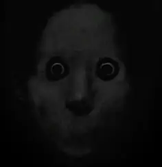 Já alguma vez viu isto no escuro? #terror #scaryphotos #gore #fotos #bizarro 