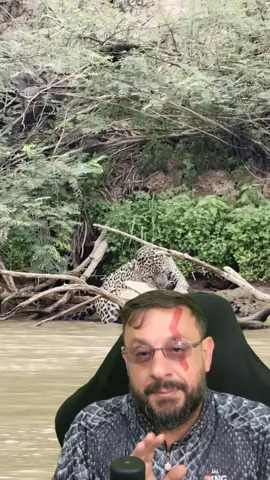 Registro antigo dos áureos tempos da onça Ousado #biologohenrique #animais #bichoesperto #biologo