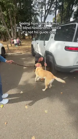 While we were in Italy, Mr. Maple was with his girlfriend, Haviland (another guide dog). Havi’s owner, Chari, texted me with a prank idea we couldn’t resist 😂 #prank #blind 