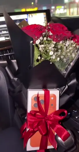 17promax ❤️ #17promax #foryou #viral #gifts #ticktock 