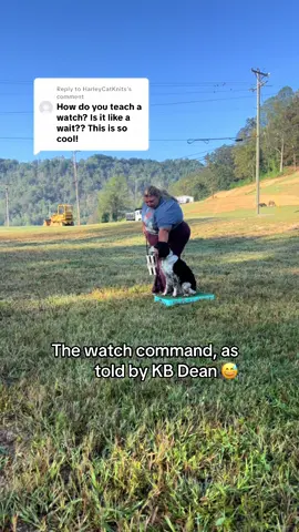 Replying to @HarleyCatKnits I found this to be the easy way to train it they’re probably other people they’ve been doing this a lot longer to have opinions on it. But that’s a fun part about dog training it’s all an art form and everyone can kinda do their own signature thing with it! #DogTraining #retrievetraining #spaniels #gundog #dogenrichment 