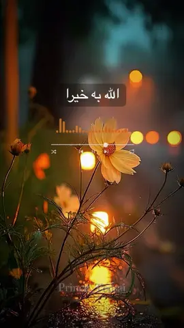 اذا اردت ان تعرف مقامك عند الله فأنظر في ما اقامك ☝🏻🤲🤍 #_ #صالح_المغامسي #مؤثر #أجر_لي_ولكم #قصص  @prince_tensai  @prince_tensai 