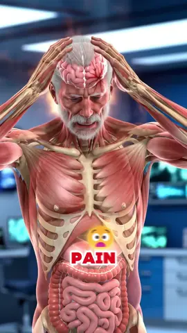 five common headache locations and the conditions they might signal #headache #headacherelief #painful #usatiktok #healthtip 