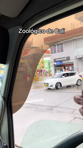 Lleven a sus mujeres al zoológico  #humor 