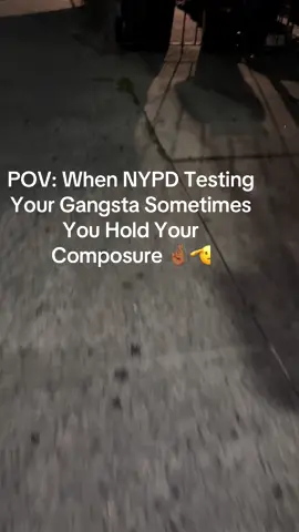 They did all of that thinking  was gon run 🤦🏾‍♂️ Sorry NOT A RUNNER ✋🏾 #NYPD #harrassment #foryoupage #blowthisup #makethisgoviral 