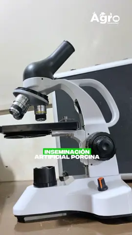 💯Saca el máximo provecho a los beneficios de tener un microscopio en tu laboratorio de inseminación porcina.  #porcicultura #iaporcina #microscopio #cerdos #ganaderia    