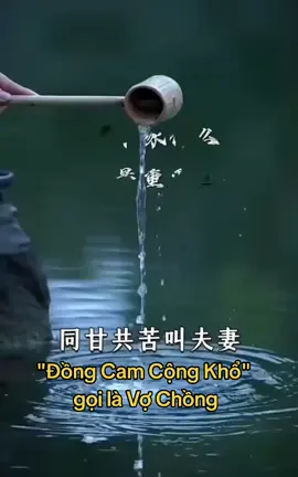 Vợ chồng đồng cam cộng khổ #tinhyeu #thichtiengtrung #hanhphuc #giadinh #trietlycuocsong 