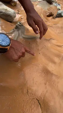 Red super gold material   #goldhunter #goldrush #goldminers #goldmining #golddiscovery 