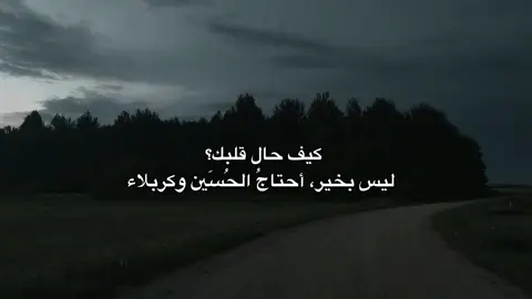 أحتاج الحسُين 😞.#سيد_سلام_الحسيني #كربلاء #الحسين_ثورة_خالده #زياره_الامام_الحسين_عليه_السلام #لايك_متابعه_اكسبلور 