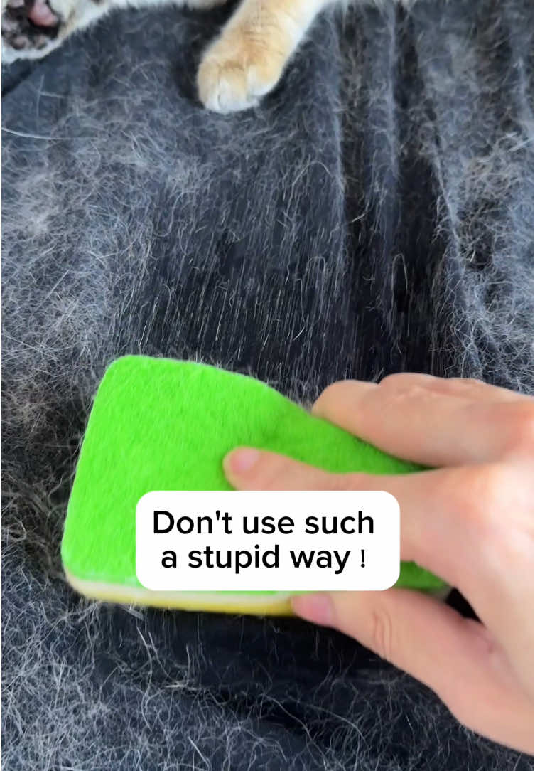 A must for all hairy and shedding dog/cat owners👏🏻#tiktokshop #PetsOfTikTok #pethairremoval #petproducts #catsoftiktok 