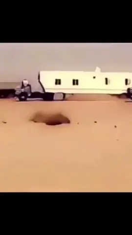 كسبلور##كسبلور_explor_تيك_توك 