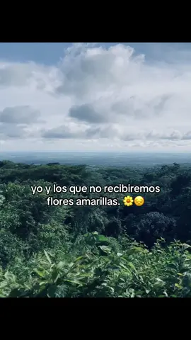Ni modo 😔 #flores #floresamarillas #paratiiiiiiiiiiiiiiiiiiiiiiiiiiiiiii #21semtiembre🌻🌻🌻 #pareja 